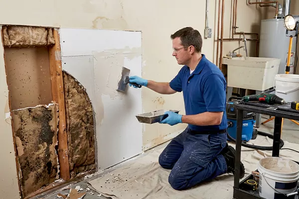 Mold and Drywall Repair Bothell