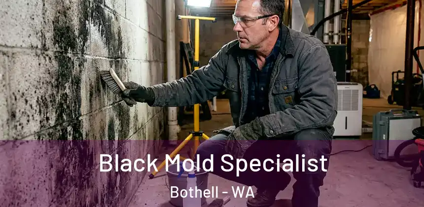  Black Mold Specialist Bothell - WA