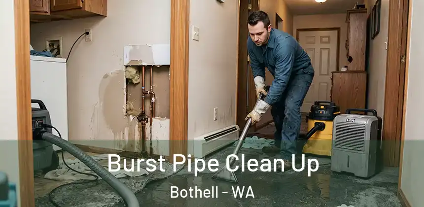  Burst Pipe Clean Up Bothell - WA