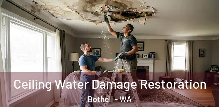 Ceiling Water Damage Restoration Bothell - WA