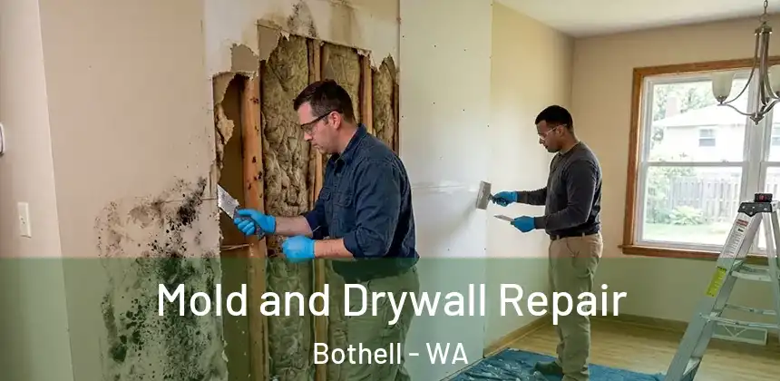Mold and Drywall Repair Bothell - WA