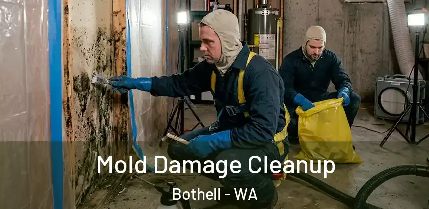  Mold Damage Cleanup Bothell - WA
