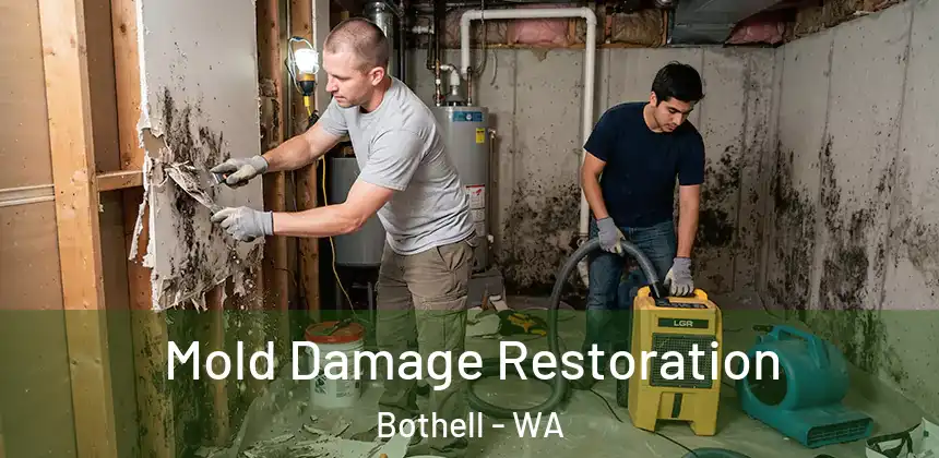  Mold Damage Restoration Bothell - WA