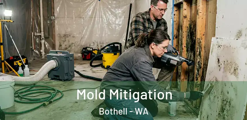  Mold Mitigation Bothell - WA
