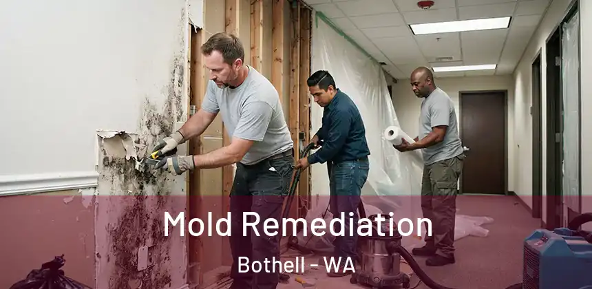  Mold Remediation Bothell - WA