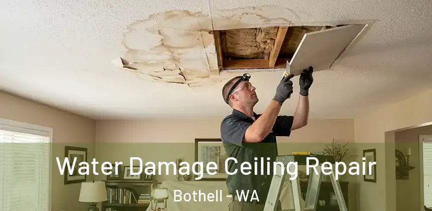 Water Damage Ceiling Repair Bothell - WA