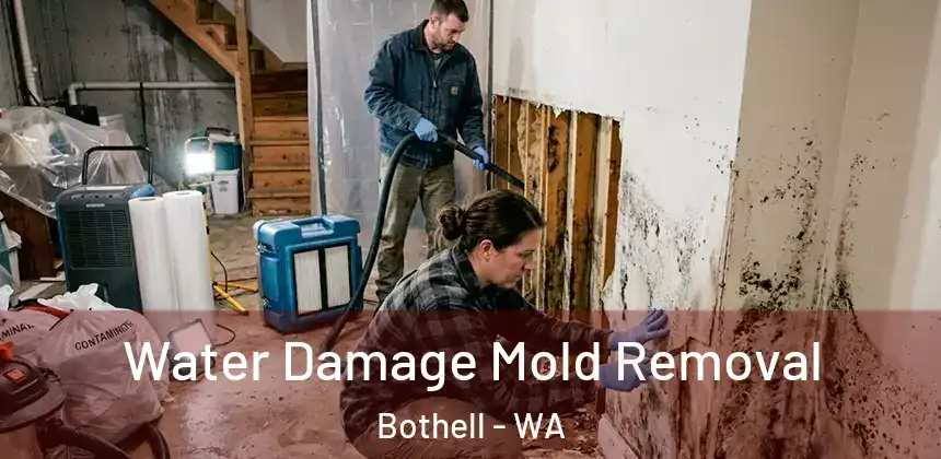  Water Damage Mold Removal Bothell - WA