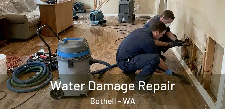  Water Damage Repair Bothell - WA
