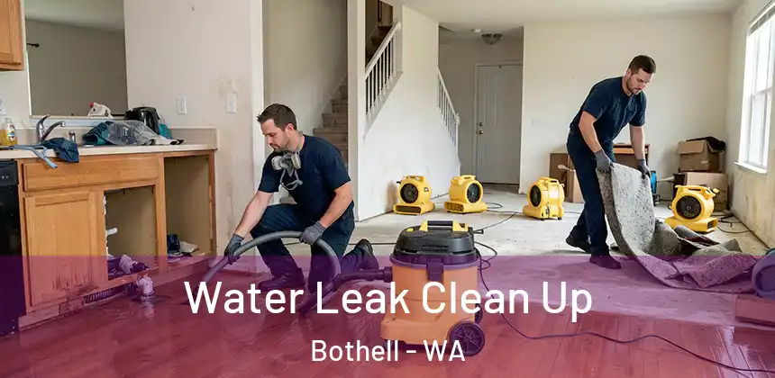  Water Leak Clean Up Bothell - WA
