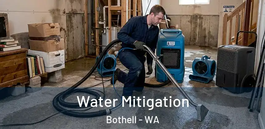  Water Mitigation Bothell - WA