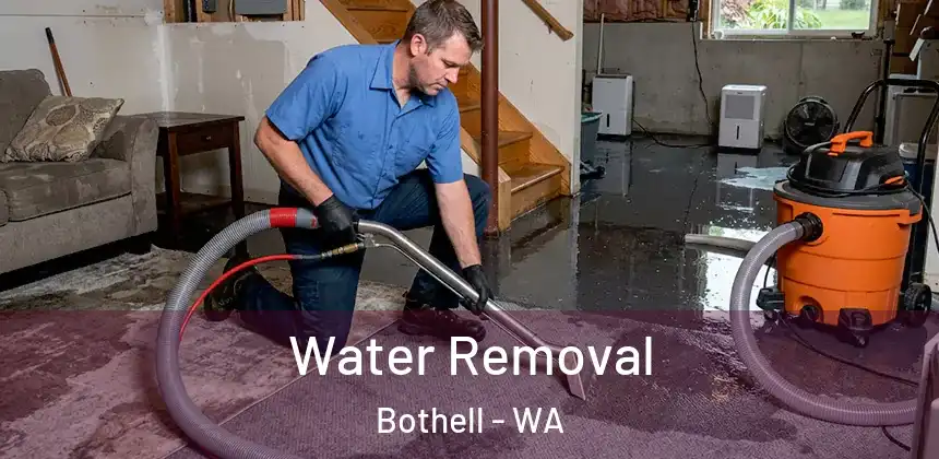  Water Removal Bothell - WA
